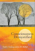 Consciousness Demystified