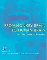 From Monkey Brain to Human Brain