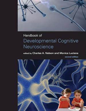 Handbook of Developmental Cognitive Neuroscience