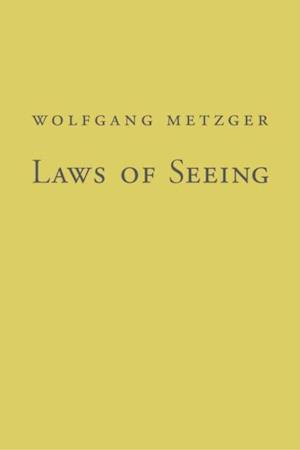 Laws of Seeing