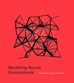 Modeling Neural Development