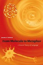 From Molecule to Metaphor