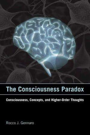 Consciousness Paradox