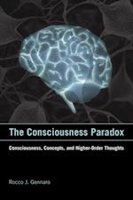 Consciousness Paradox