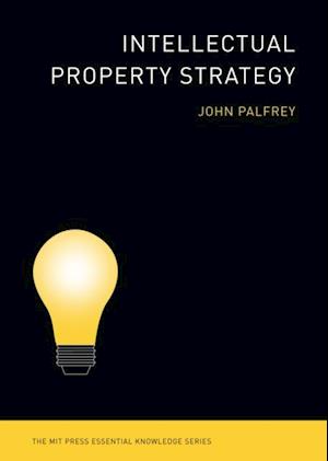 Intellectual Property Strategy