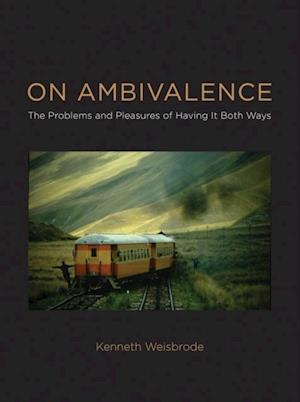 On Ambivalence