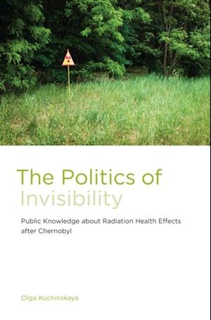 Politics of Invisibility