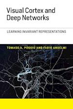 Visual Cortex and Deep Networks