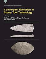 Convergent Evolution in Stone-Tool Technology