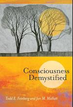 Consciousness Demystified