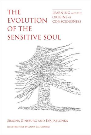 Evolution of the Sensitive Soul