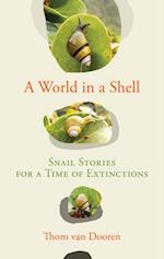 World in a Shell