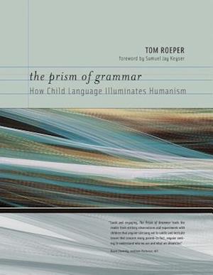 The Prism of Grammar