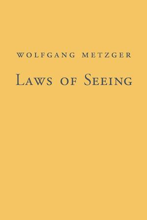 Laws of Seeing