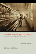 Between Reason and Experience