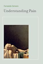 UNDERSTANDING PAIN