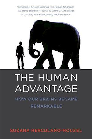 The Human Advantage