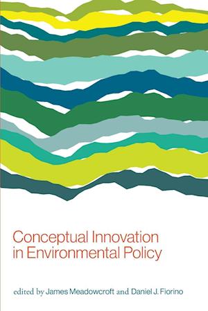 Conceptual Innovation in Environmental Policy