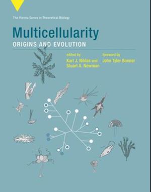 Multicellularity