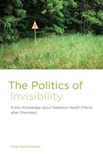 The Politics of Invisibility
