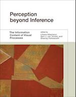 Perception beyond Inference