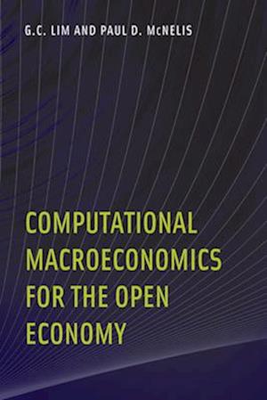 Computational Macroeconomics for the Open Economy