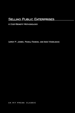 Selling Public Enterprises