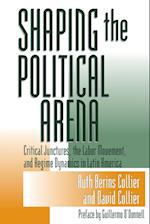 Shaping the Political Arena