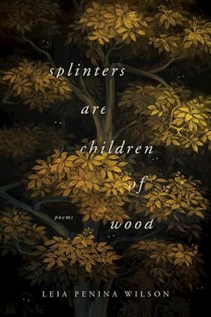 Splinters Are Children of Wood