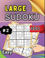 Large Sudoku 480 Easy #2