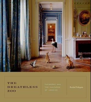 The Breathless Zoo
