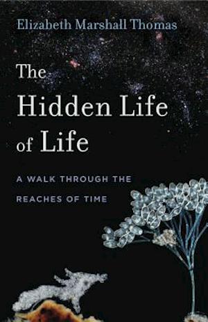 Hidden Life of Life Hb