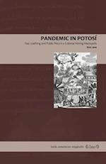 Pandemic in Potosi