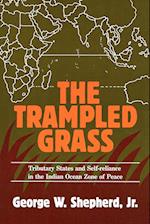 The Trampled Grass