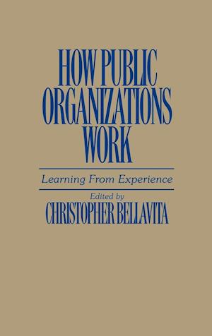How Public Organizations Work