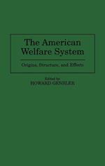 The American Welfare System