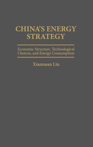 China's Energy Strategy