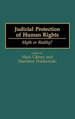 Judicial Protection of Human Rights