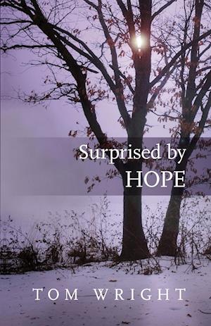 Surprised by Hope