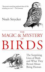 Magic & Mystery of Birds