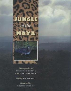 Jungle of the Maya