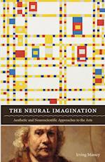 The Neural Imagination