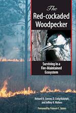The Red-cockaded Woodpecker