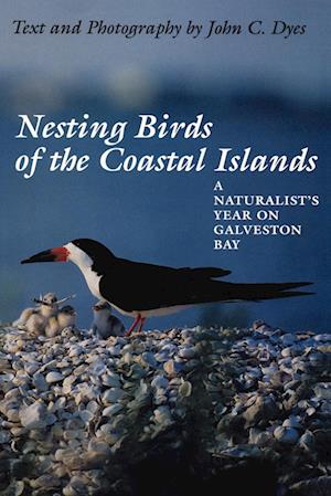 Nesting Birds of the Coastal Islands