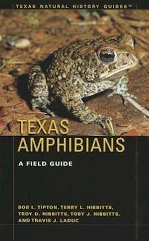 Texas Amphibians