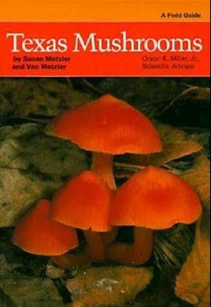 Texas Mushrooms