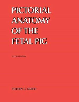 Pictorial Anatomy of the Fetal Pig