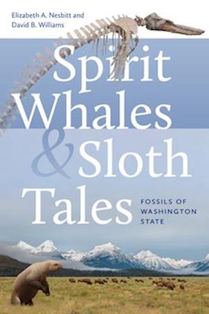 Spirit Whales and Sloth Tales