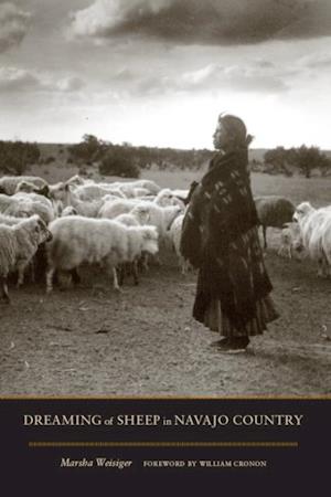 Dreaming of Sheep in Navajo Country