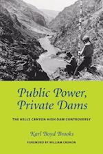 Public Power, Private Dams